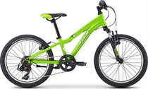 Fuji Dynamite 20 Green 2020